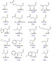 aminoacidi.jpg