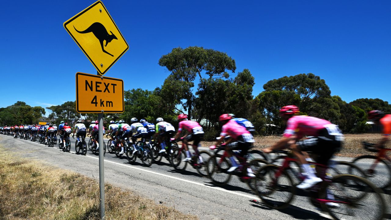 Tour Down Under 2026: Come Vedere le Gare in Diretta
