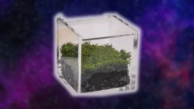 Mini-Ecosistema Spaziale: Il Cubo che Conquisterà Marte